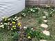 627 S 2nd, St. Charles, IL 60174