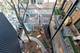 331 S Peoria Unit 401, Chicago, IL 60607