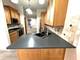 21431 W Sycamore, Plainfield, IL 60544