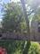 2541 N Kildare, Chicago, IL 60639