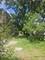 2541 N Kildare, Chicago, IL 60639