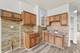 7240 S Langley, Chicago, IL 60619