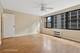 850 N Dewitt Unit 11D, Chicago, IL 60611