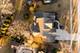 2217 Warrenville, Wheaton, IL 60189