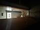 733 Caryn, South Holland, IL 60473