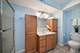 445 N Park Unit 4B, Glen Ellyn, IL 60137