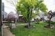 4240 W Henderson, Chicago, IL 60641