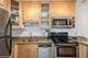 450 W Briar Unit 4L, Chicago, IL 60657
