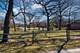 208 Brookdale, Palatine, IL 60067