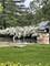 208 Brookdale, Palatine, IL 60067