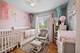 21729 W Hemingway, Plainfield, IL 60544