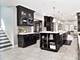 1341 Park, River Forest, IL 60305