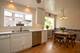 508 William, River Forest, IL 60305