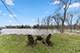 864 N Bennett, Geneva, IL 60134