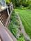 401 Kickapoo, Batavia, IL 60510
