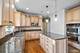 16432 S Harmon, Plainfield, IL 60586