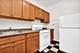 808 Arlington Unit 10, La Grange, IL 60525
