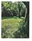 5848 Clarendon Hills, Clarendon Hills, IL 60514