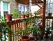 2320 W Rosemont Unit 1, Chicago, IL 60659