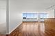 655 W Irving Park Unit 4603, Chicago, IL 60613