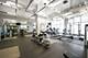 655 W Irving Park Unit 4603, Chicago, IL 60613