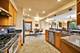 8209 N Oleander, Niles, IL 60714