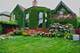 8209 N Oleander, Niles, IL 60714