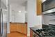 21 W Chestnut Unit 1509, Chicago, IL 60610