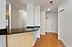 21 W Chestnut Unit 1509, Chicago, IL 60610