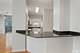 21 W Chestnut Unit 1509, Chicago, IL 60610