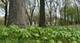 26288 N Farwell, Mettawa, IL 60045