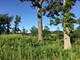 26288 N Farwell, Mettawa, IL 60045