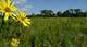 26288 N Farwell, Mettawa, IL 60045