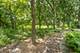8673 Timber Ridge, Burr Ridge, IL 60527