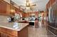 4248 N Newland, Norridge, IL 60706
