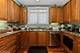 1802 Riverwoods, Melrose Park, IL 60160