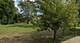 745 Jefferson, Aurora, IL 60505