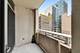 1400 S Michigan Unit 507, Chicago, IL 60605
