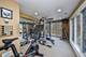 1303 Bonnema, Naperville, IL 60565