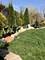 545 Filmore, Elburn, IL 60119