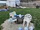 545 Filmore, Elburn, IL 60119