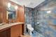 3611 Lawson, Glenview, IL 60026