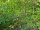 Lot 15 Legion, Yorkville, IL 60560