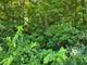 Lot 15 Legion, Yorkville, IL 60560