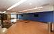 420 E Waterside Unit 1110, Chicago, IL 60601