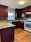 10300 S Avenue F Unit -2, Chicago, IL 60617