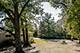 12835 S 83rd, Palos Park, IL 60464
