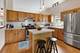 1108 Little Falls, Elgin, IL 60120