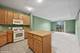 2335 W Belle Plaine Unit 207, Chicago, IL 60618
