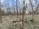 152 E Depot, Antioch, IL 60002